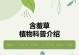 含羞草的养殖方法（了解含羞草的特点及培养技巧，让它在你家园林中绽放生机）