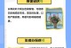 花白虫子病的治疗方法（了解、预防与应对）