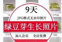 豆芽的生长环境与生长地点（豆芽种植条件及栽培方法）