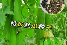 八棱瓜的种植技巧（合适的播种时间及注意事项）