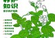 如何养护以生根的茉莉