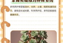 七彩莲多肉养护全攻略（打造炫彩植物天堂，七彩莲多肉的养护技巧和窍门大揭秘！）