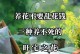 豆瓣绿的养殖技巧与经验分享（打造家中绿色角落，从养豆瓣绿开始）