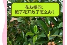 如何正确修剪以枝枝花（掌握修枝技巧，让以枝枝花焕发生机）
