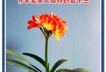 以君子兰半边有根的处理方法（有效修剪技巧与健康生长关键）