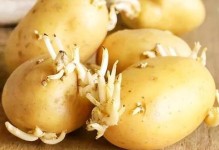 如何保存土豆时间长（土豆存储技巧及建议）
