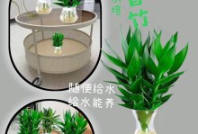 如何养护观音竹子，打造室内绿色环境（观音竹子养护要点与技巧，打造舒适室内氛围）