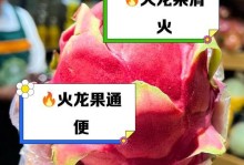 火龙果温度过低的处理方法（保护火龙果免受低温侵害）