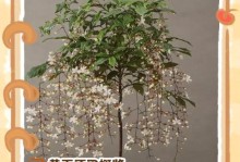 茉莉花叶子耷拉了，怎么回事？（探究茉莉花叶子耷拉的原因及处理方法）