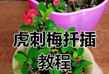 如何正确移栽以刺梅剪下的枝条（移栽以刺梅剪下枝条的步骤与注意事项）