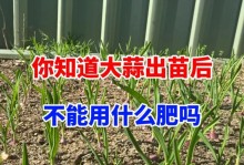 大蒜的肥料施用方法（如何科学合理地为大蒜施肥）