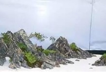 水旱盆景制作方法（打造精致小型水旱盆景，让生活更有情调）