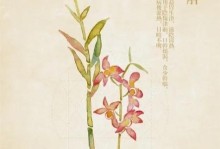 铁皮石斛的种植方法详解（从土壤要求到管理技巧，教你一步步种好铁皮石斛）