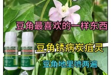 如何有效处理植物长锈斑问题（探索有效的防治方法，让您的植物重获生机）