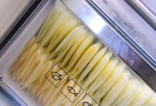 荆芥可以冷冻保存吗？（如何正确地冷冻荆芥？）