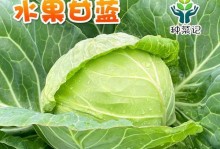 开春种植蔬菜攻略（适合开春种植的蔬菜种类与注意事项）