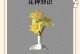 睡莲的开花时间及闭合规律（探秘睡莲花的生命之谜）