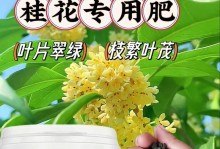如何为桂花树选择最佳肥料？（桂花树肥料选择技巧及注意事项）