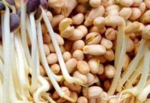 花生发芽了能否食用？毒性如何？（花生发芽的危害和好处）