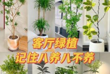 绿宝树的养殖方法和养护要点（打造居家绿化的最佳选择）