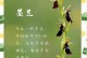 墨兰几天浇一次水最好？（如何科学浇水让墨兰更健康）