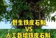石斛种植全攻略（掌握种植时间与生长周期，让石斛健康成长）