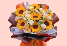 向日葵——花语的象征（以美丽为名，以爱为纽带）