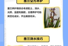 墨兰花朵稀少之困局（墨兰花朵稀少的原因及解决方案）