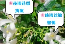 睡莲之夜（探秘睡莲花的神秘夜生活）