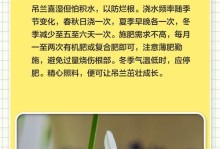 冬天养吊兰的技巧大揭秘（合理掌握浇水频率，让吊兰健康过冬）