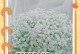 满天星花谢了怎么办——细致呵护延长花期（关键步骤让满天星绽放更久，别让花儿轻易凋谢）