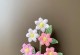 杜鹃花的花语象征与寓意（探索杜鹃花的隐含意义，了解其文化内涵）