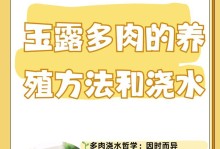 玉露叶子干的制作与应用（传统技艺与现代创新，探寻玉露叶子干的无限可能）