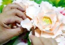 牡丹花养护指南（花谢后如何维护牡丹花的生长？花期后的养护技巧分享）