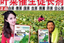 如何选用适合芹菜的肥料（选择适合芹菜的肥料要注意的关键点）