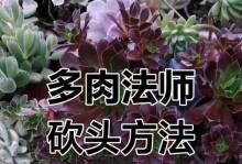 法师类多肉的正确浇水方法（-浇水频率、浇水量、浇水时间选择）