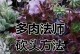 法师类多肉的正确浇水方法（-浇水频率、浇水量、浇水时间选择）