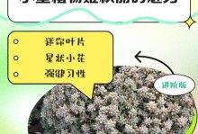 移盆以姬秋丽老桩的艺术之美（探索姬秋丽老桩移盆技巧，打造独一无二的盆景艺术）