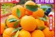探寻橙子的故乡（寻找橙子的产地及种植历程）