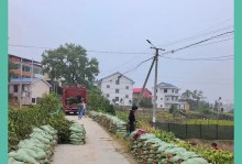 香樟树移栽时间选择的重要性（掌握最佳时间，保障香樟树健康成长）