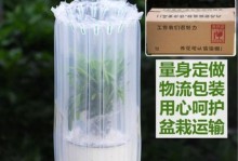 金琥仙人球的水养技巧（让你的金琥仙人球健康茁壮生长）
