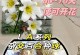 百合花的水分管理（春夏秋冬四季浇水技巧）