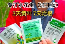 花生的浇水频率探究（掌握浇水时间，让花生生长更茂盛）