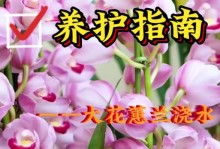 以蕙兰浇水的正确方法（打造健康蕙兰生长的秘诀）