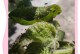 从根源上预防棉花病虫害——有效防治技术措施（科学施策绿色生产，打造健康棉田）